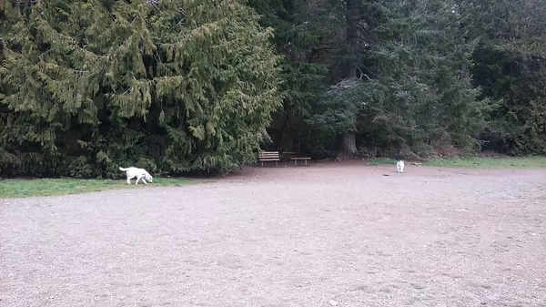 Howe Park Off-Leash Area photo 1